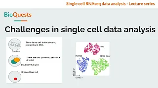 Challenges in single cell data & how to address them