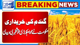 Good News !! Big News Regarding Wheat? | Lahore News HD