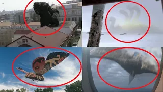 5 Godzilla Characters Caught on Camera & Spotted in Real Life