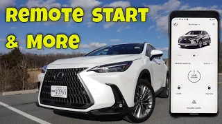 My Honest Lexus App Review with 2022 NX 350h