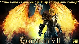 Divinity II: Кровь драконов. Задания "Спасение свинины" и "Пир горой или голод".