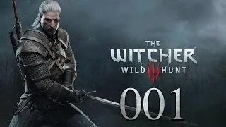 Witcher 3 [german|60fps|Facecam] #001 Ein Hexer und ein Hänger ► Let's Play The Witcher 3