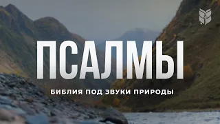 Псалмы. Библия под звуки природы. Современный перевод Библии #biblevision