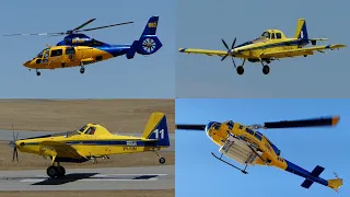 5 Firefighting Aircraft on a Hot, Windy Summer Day - Jandakot WA, 4 Jan 2023