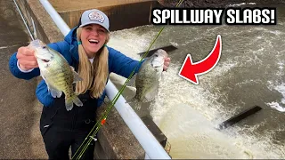 Crappie Fishing a GIANT SPILLWAY for SLABS! --Jig & Bobber VS. Double Jig Rig!!! (CATCH and COOK)