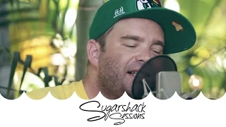 The Movement - Habit (Live Music) | Sugarshack Sessions
