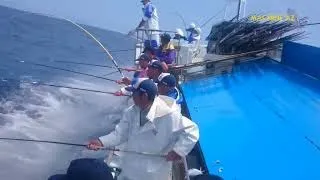 Прикольная  рыбалка, лучшие моменты на морской рыбалке. Funny Fishing