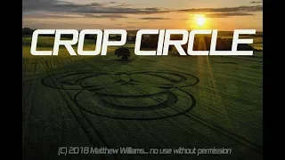 Long Wood CROP CIRCLE 3.6.2019  4k