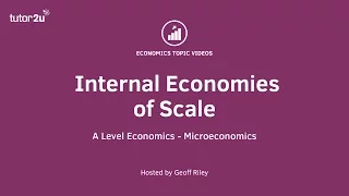 Internal Economies of Scale - A Level and IB Economics