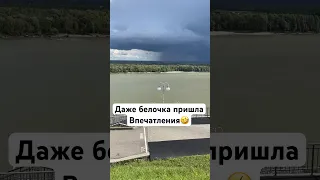 Очень красивое место в Барнауле.👍 Ещё и туча...  Даже белочка посетила.🙄🤣 И дух захватило..