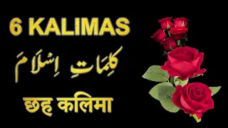 Six 6 Kalimas in Islam in Arabic, Urdu, Hindi & English - Learn Six Kalimas - Beautiful Zikir & Dua