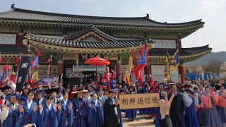 Фестиваль цветущей вишни в Йонам и наш первый опыт волонтерства в Корее