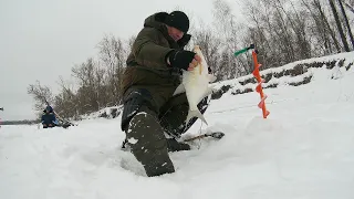 Поиск сработал, хлыст-кивок "уговорил"! Рыбалка на Оби в феврале.