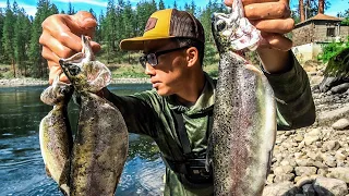 Summer Trout Slam on the River (Multispecies Fishing)