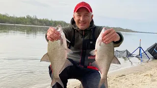 Весенняя рыбалка на фидер на реке Дон