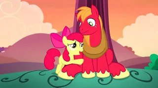 My Little Pony Season 5, Episode 17 (Brotherhooves social)