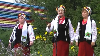 Фестиваль борщу в Правилівці 2016.