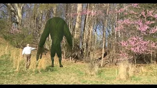 He Sacrifices EVERYTHING By Exposing His Bigfoot Sasquatch In Actual Video Footage!