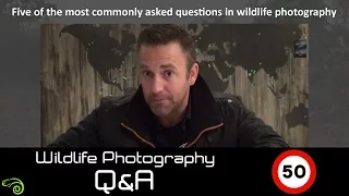 Wildlife Q&A - Episode 50:  The most commonly asked questions in wildlife photography.