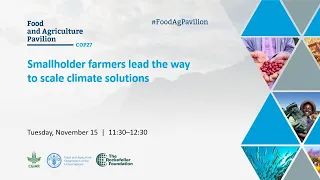 Smallholder farmers lead the way to scale climate solutions
