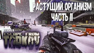 ТАРКОВ ПРОКАЧКА С НУЛЯ ЧАСТЬ 11 / РАСТУЩИЙ ОРГАНИЗМ ESCAPE FROM TARKOV