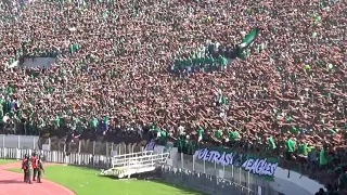 Curva Sud Casablanca - كورفا سود كازا بلانكا  - Raja Club Athletic Supporters - Raja Casablanca