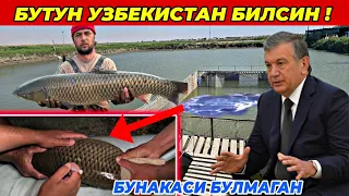 ДИККАТ! БУТУН УЗБЕКИСТАН КУРСИН! БУНАКАСИ ХАЛИ БУЛМАГАН «АНТИКА БАЛИК» ДАН АЖОЙИБ ЯНГИЛИК