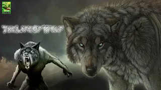 The War Of The Wolf Pack || (Wolf Documentary HD) | White Wolf | Real Wild || Nature Of A GOD