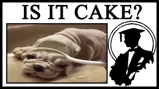 Why Is Everything Cake?