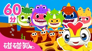 與鯊魚寶寶一家唱歌跳舞合集 | 連續播放 | Baby Shark l Kids Song Nursery Rhymes | 碰碰狐 Pinkfong