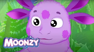 Moonzy | Cartoons compilation 5 | Five Full episodes | For kids