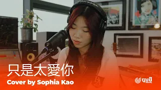 Hins Cheung - 只是太愛你 | Cover by Sophia Kao