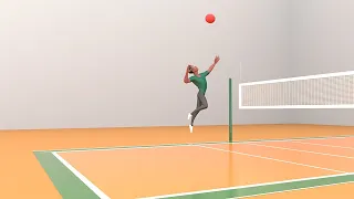 body mechanics animation / spike volleyball