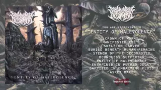Abhorrent Deformity - Entity of Malevolence Album Stream