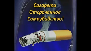 Все о курении