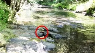 We found something by the river! GROSS! - Quest for Bigfoot - Video 5