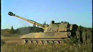 2./PzArtBtl 205 in Shilo, ´95