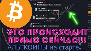 Биткоин что происходит с доминацией! Альткоины готовы к росту!