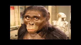 The Missing Link (BBC Documentary)