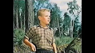 Дым в лесу (фильм 1955)