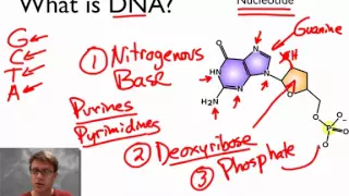 What is DNA?