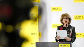 Amnesty International бьёт тревогу о "беспрецедентного масштаба нарушениях в Украине и Газе"