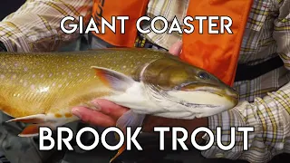 Monster Brook Trout of the Nipigon River
