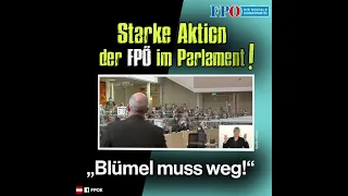 Blümel muss zurücktreten: Die FPÖ zeigte Aktionismus im Parlament!