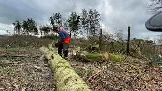 Eiken berken hout zagen 25 tot 30cm husqvarna 545mark2