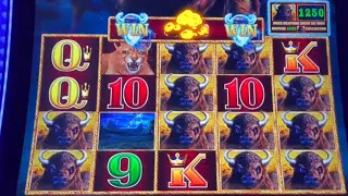 2nd Spin Jackpot-3 High Numbers $2-10/Bets on Buffalo Lightning Link