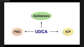 Hội thảo UDCA Asean Meet ngày 26 tháng 3 năm 2022: Cập nhật điều trị bệnh lý Gan mật và vai trò UDCA