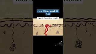 How A paper cut works