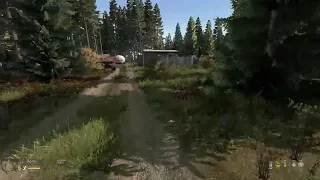 dayz run for the gas