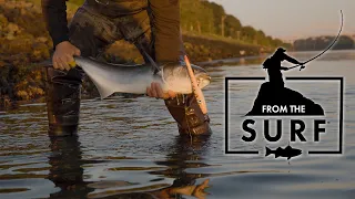 Bass and Blues at the Cape Cod Canal | Cape Cod, MA | From The Surf Ep. 3